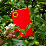 Le Puzz Mini Puzzle - Flat Apple Jigsaw Puzzles le puzz