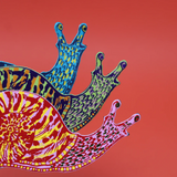 Snail Magnet by Ark Colour Design magnets ark colour
