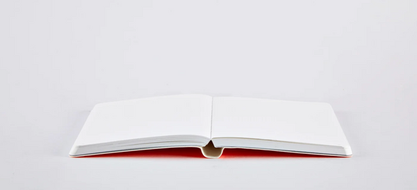 Neon Vinyl Notebooks by Nuuna notebook NUUNA