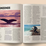 Heartbeat Magazine - Broccoli Publishing