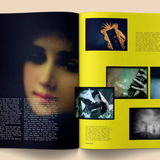 Heartbeat Magazine - Broccoli Publishing