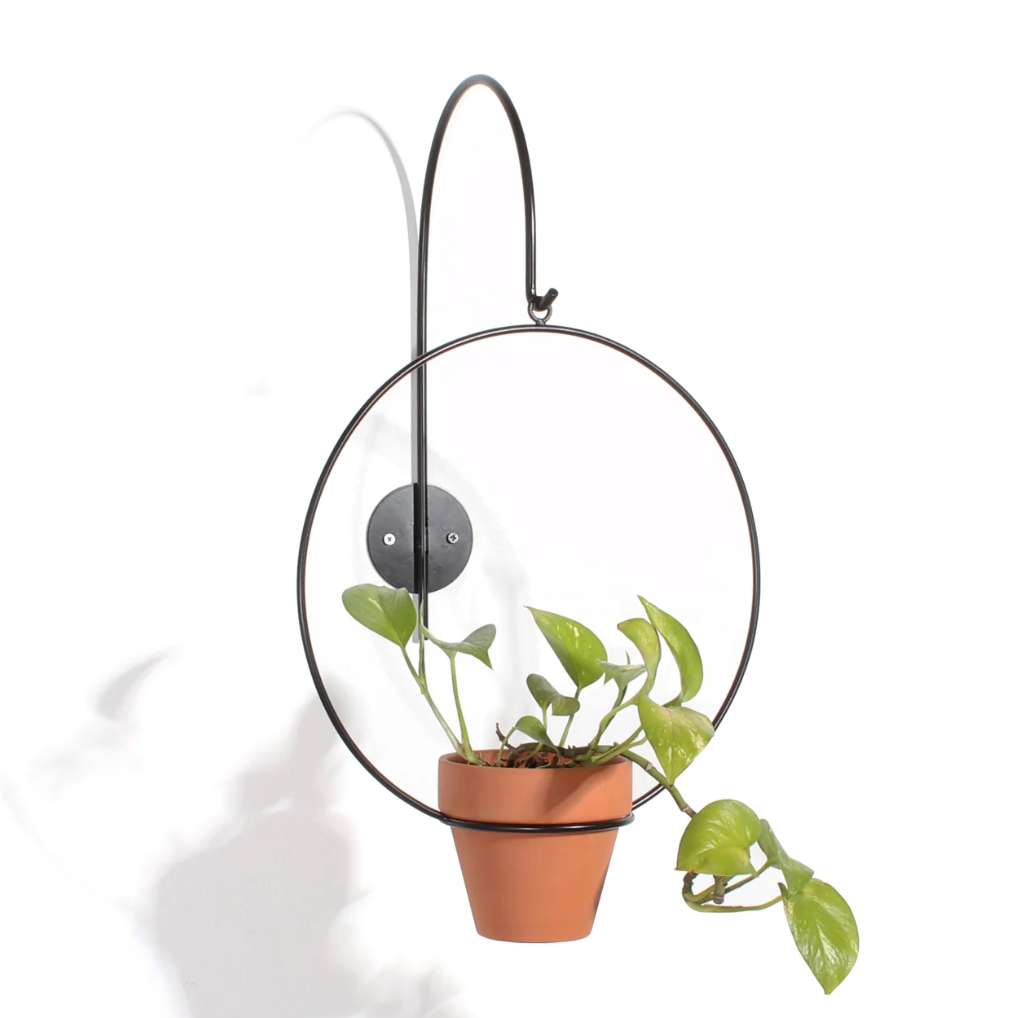 Wall Planter Hook by New Made LA Pots & Planters CANDID HOME