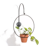 Wall Planter Hook by New Made LA Pots & Planters CANDID HOME