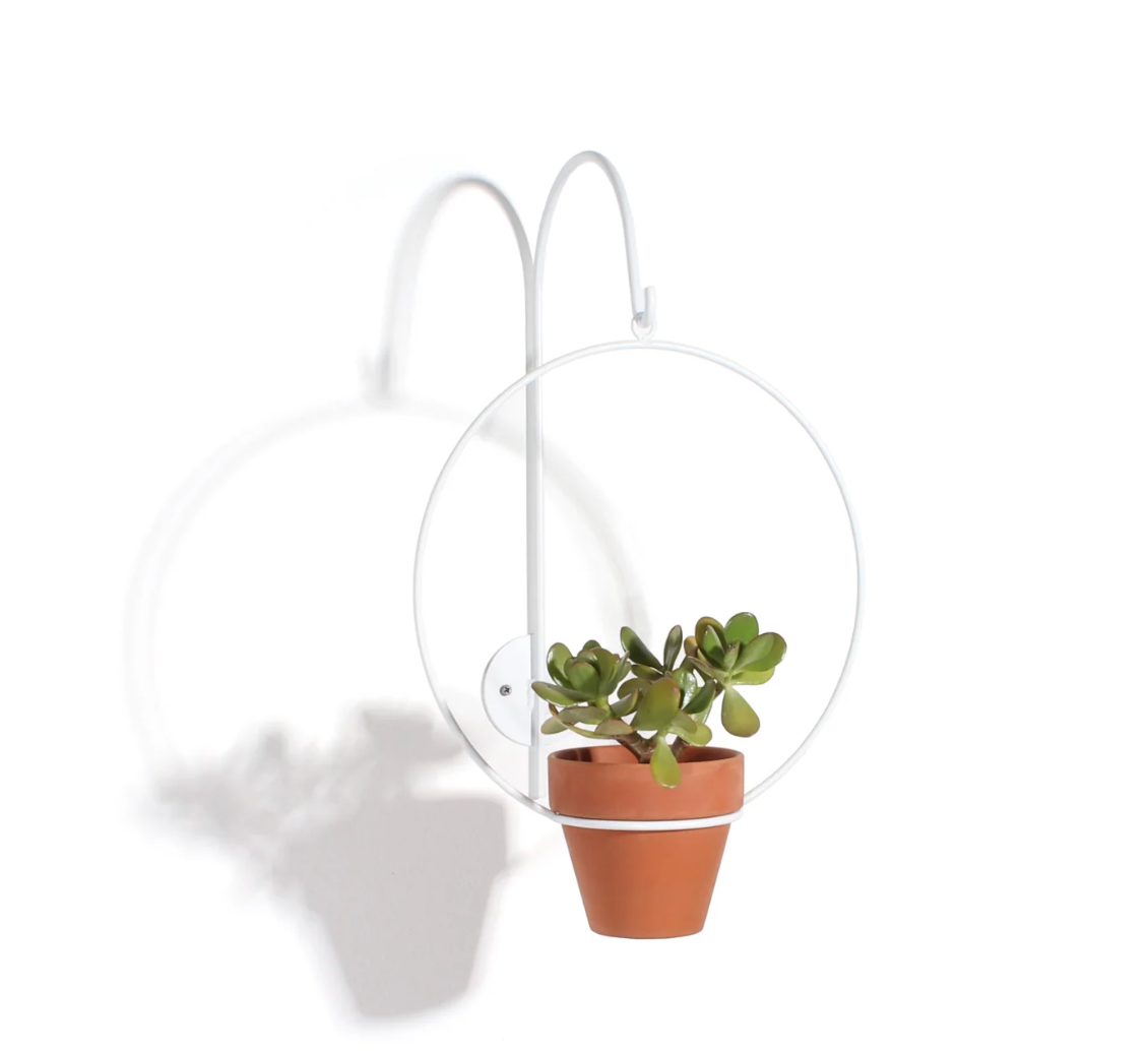 Wall Planter Hook by New Made LA Pots & Planters CANDID HOME White