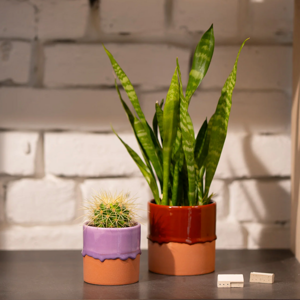 Drip Ceramic Planters by Yod + Co Pots & Planters yod and co
