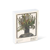 Waratah & Banksia Playing Card Set by Margaret Preston PLAYING CARDS third drawer down