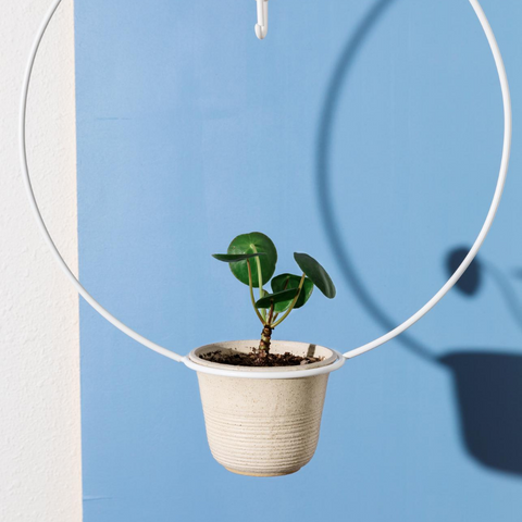 Circle Hanging Planter by New Made LA Pots & Planters New Made LA   