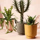 Banjo Planter by Capra Designs Pots & Planters Capra Designs   