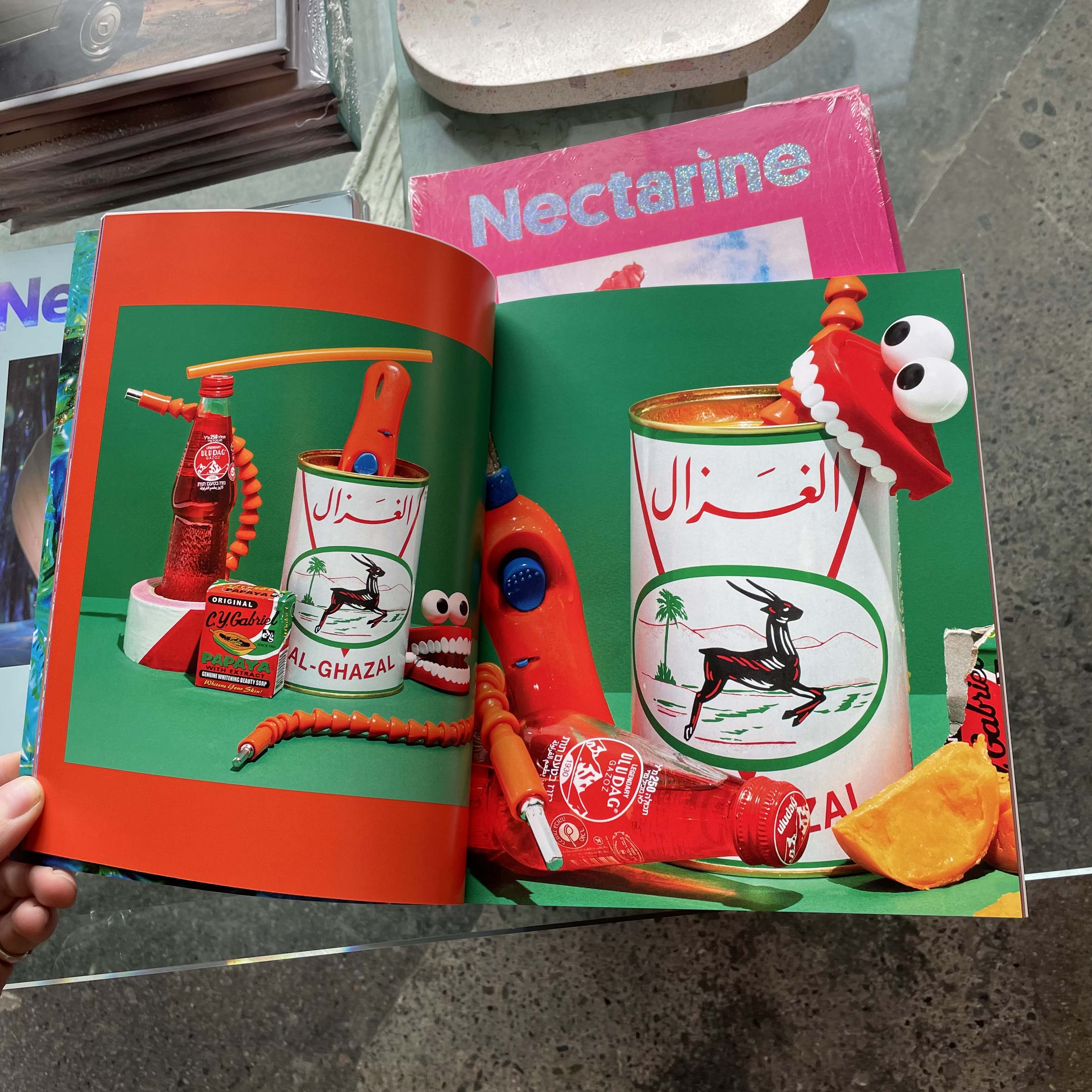 The Camp Issue - Nectarine Magazine Books nectarine   