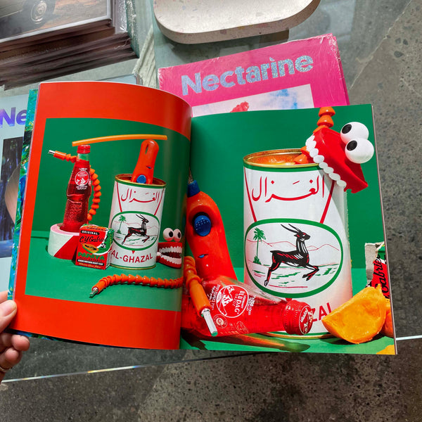 The Camp Issue - Nectarine Magazine Books nectarine   