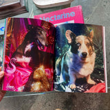 The Camp Issue - Nectarine Magazine Books nectarine   