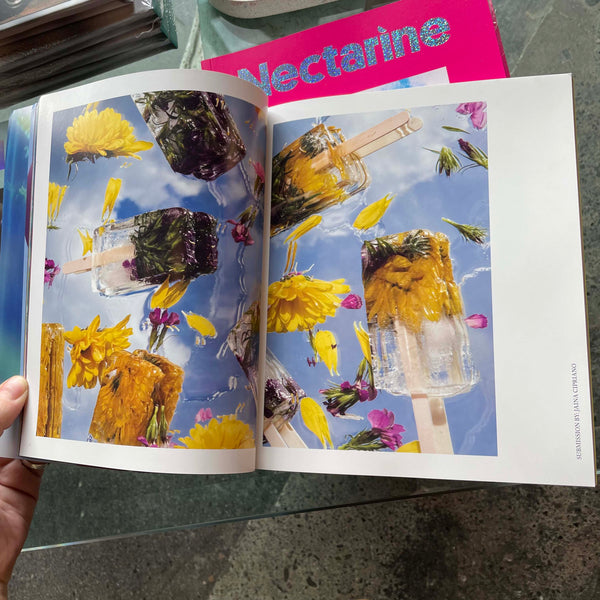 The Dreams Issue - Nectarine Magazine Books nectarine   