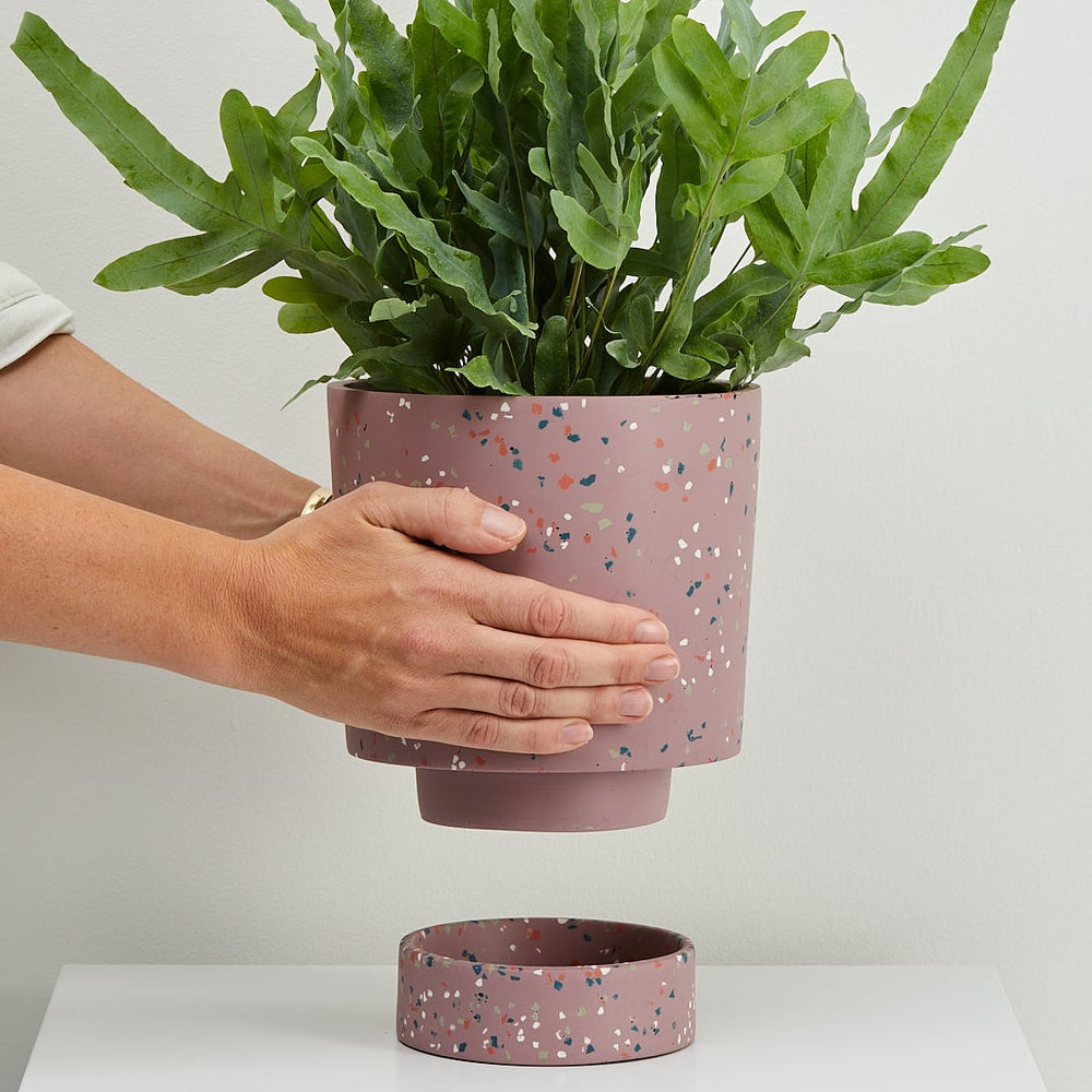 Banjo Planter by Capra Designs Pots & Planters Capra Designs Musk  