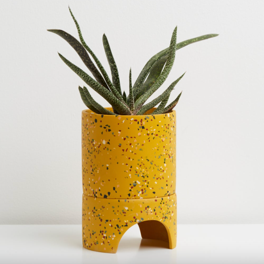 Archie Terrazzo Planter Pots & Planters Capra Designs Gold  