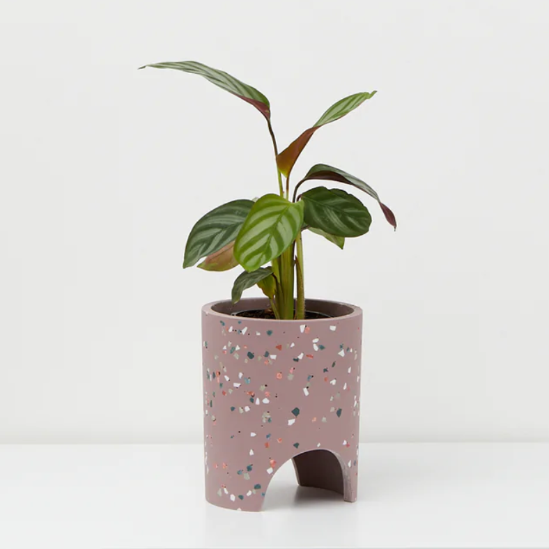 Small Archie Planter By Capra Design Pots & Planters Capra Designs Purple Musk  