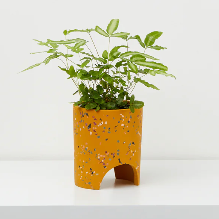 Small Archie Planter By Capra Design Pots & Planters Capra Designs Gold Terrazzo  