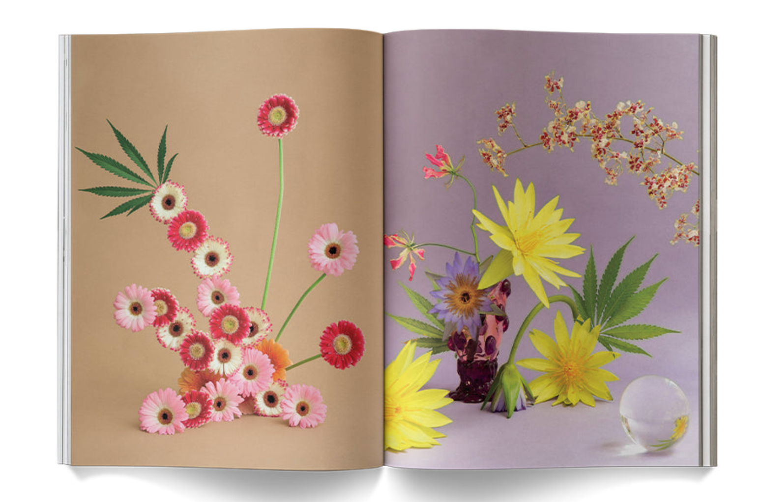"A Weed is a Flower: Artful Cannabis Photography" - Broccoli Books broccoli   
