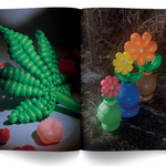 "A Weed is a Flower: Artful Cannabis Photography" - Broccoli Books broccoli   
