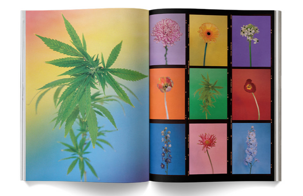 "A Weed is a Flower: Artful Cannabis Photography" - Broccoli Books broccoli   
