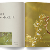 "A Weed is a Flower: Artful Cannabis Photography" - Broccoli Books broccoli   