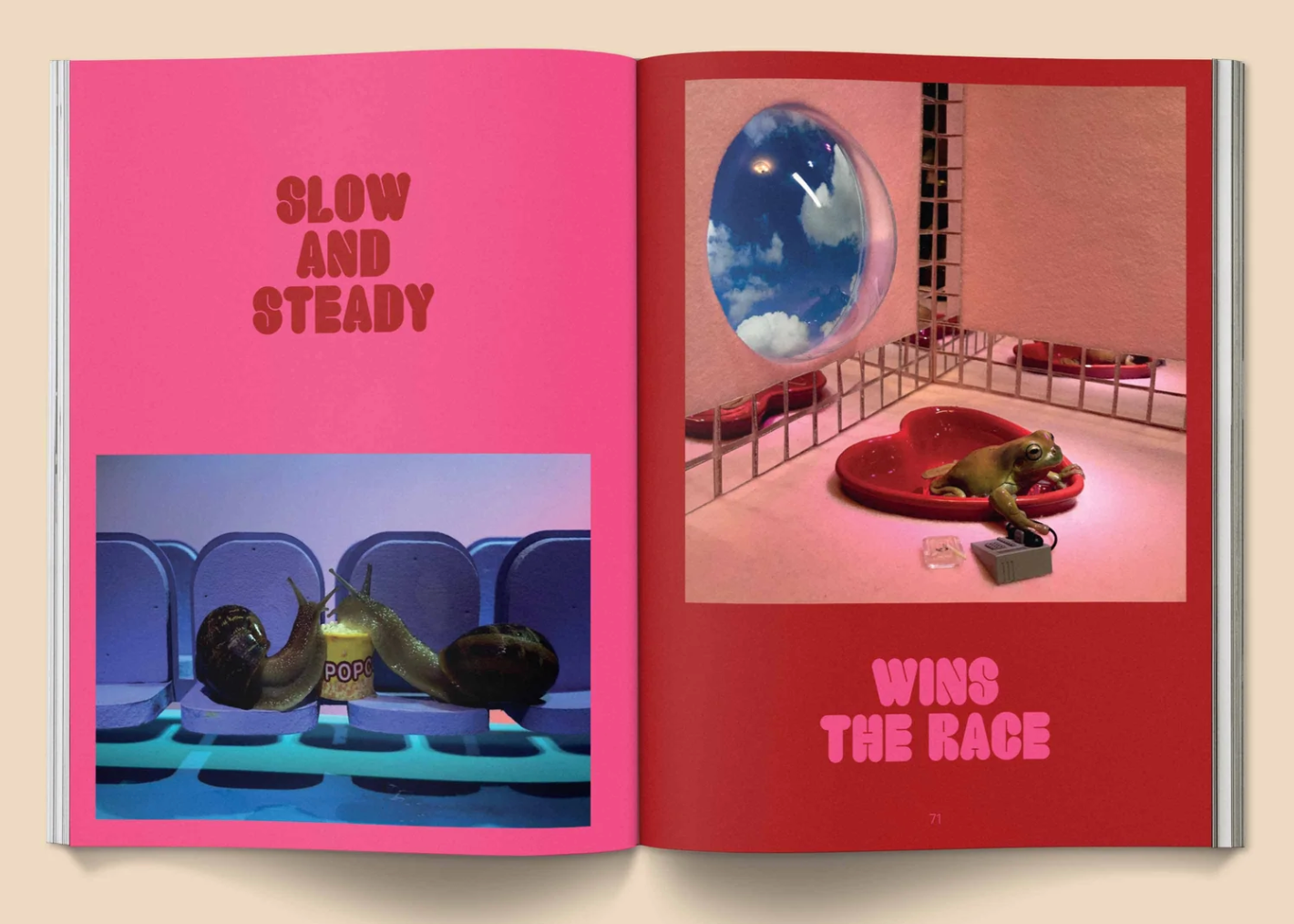 "Snail World" by Aleia Murawski + Sam Copeland - Broccoli Books broccoli   