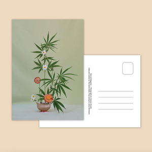 Weed Ikebana Postcard Print Set - Broccoli POSTCARDS broccoli   