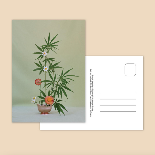Weed Ikebana Postcard Print Set - Broccoli POSTCARDS broccoli   