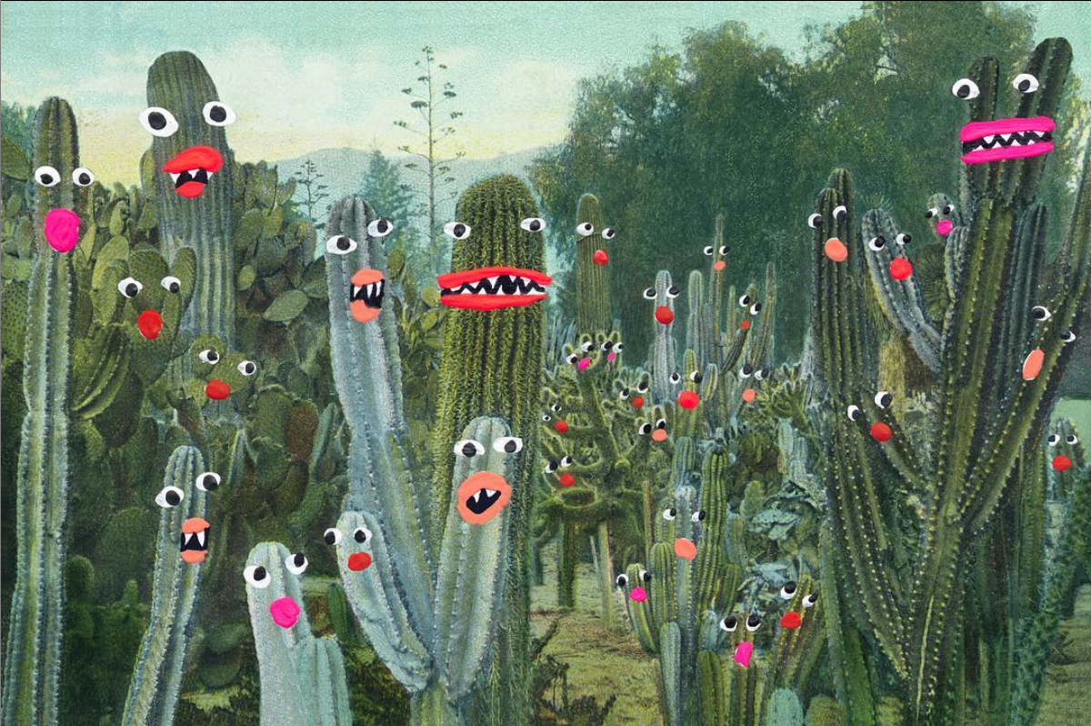 16" x 24" "Cactus Garden" print by Angela Deane Art Angela Deane   