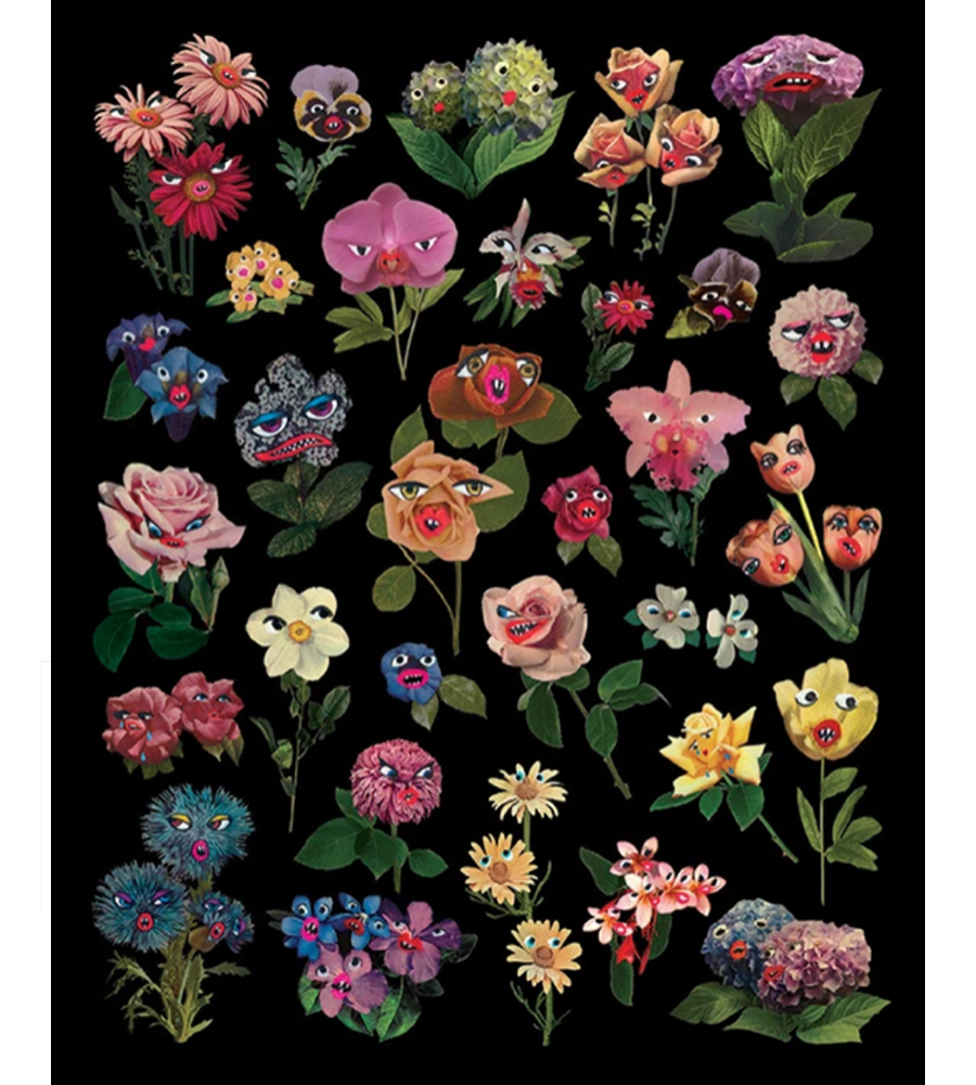 16" x 20" Botanical Chart Print by Angela Deane Art Angela Deane   