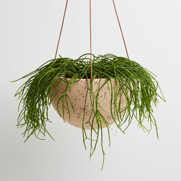 Capra Designs Terrazzo Dome Hanging Planter Pots & Planters Capra Designs   