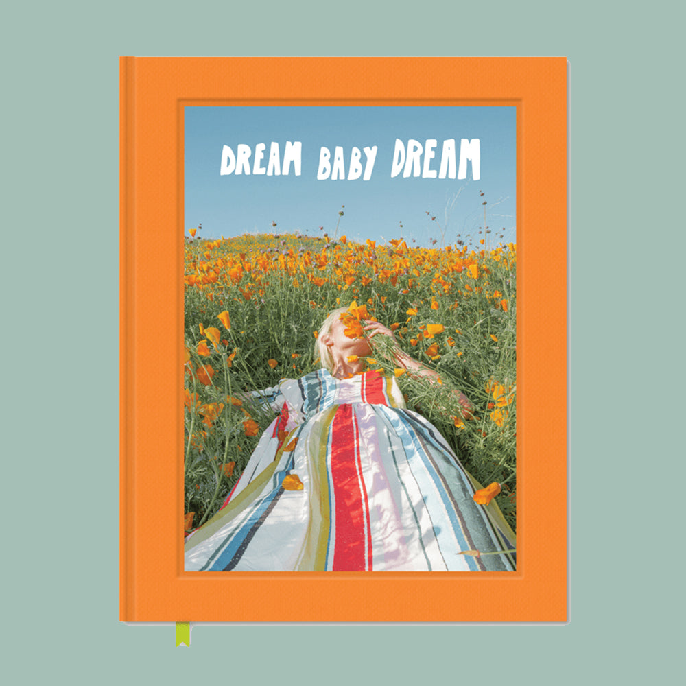 Dream Baby Dream - Jimmy Marble Books chronicle books   