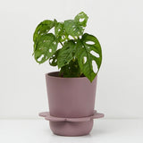 Spring Pot by Capra Design Pots & Planters CANDID HOME Musk  