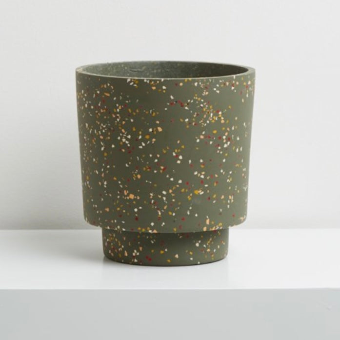 Banjo Planter by Capra Designs Pots & Planters Capra Designs Agave  