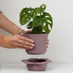 Spring Pot by Capra Design Pots & Planters CANDID HOME   