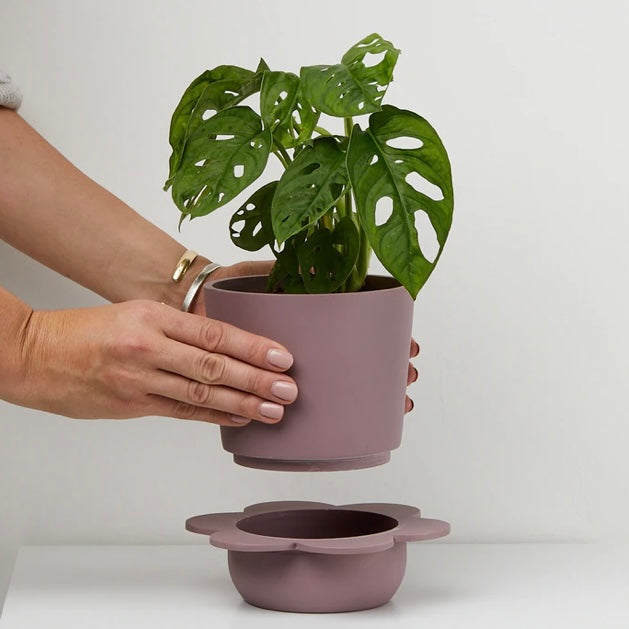 Spring Pot by Capra Design Pots & Planters CANDID HOME   
