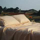 Beditorial Sheet Sets in Al Dente  CANDID HOME   