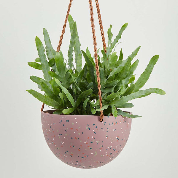 Capra Designs Terrazzo Dome Hanging Planter Pots & Planters Capra Designs Musk  