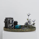 Terrazzo Trays by Capra Designs tray Capra Designs Large Agave  